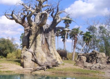 florida_200