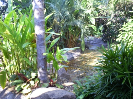 florida_260