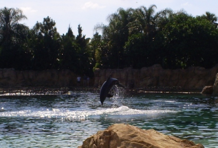 florida_263