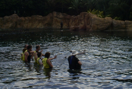 florida_272