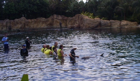 florida_274