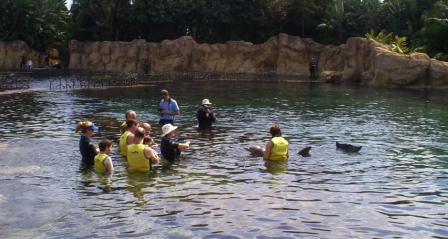 florida_280