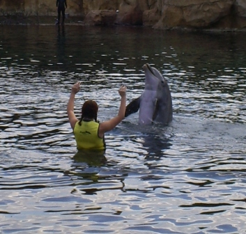 florida_282