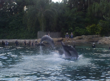 florida_291