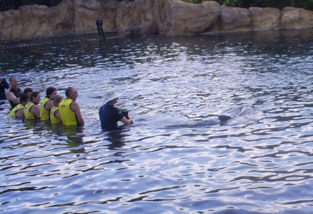 florida_292
