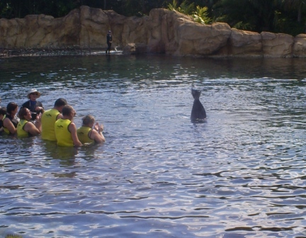 florida_293