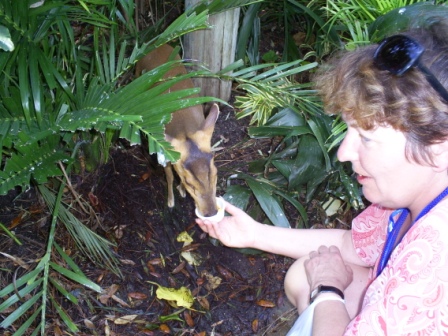 florida_302