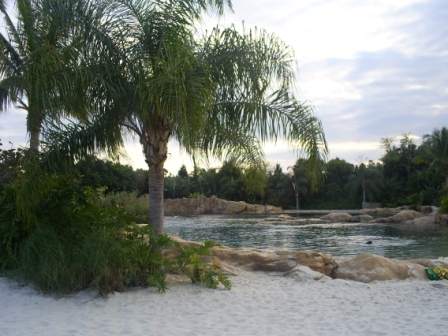 florida_306