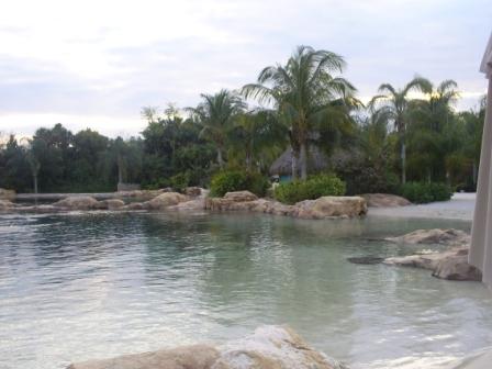florida_311