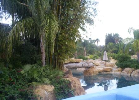 florida_326