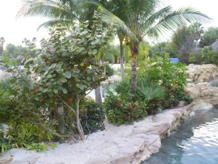 florida_330
