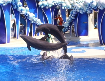 florida_404