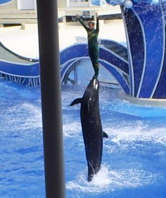 florida_542