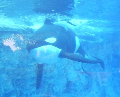 florida_552