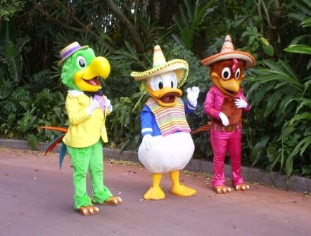 florida_590