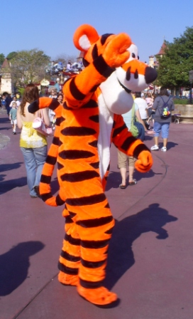 florida_besk_ret_003