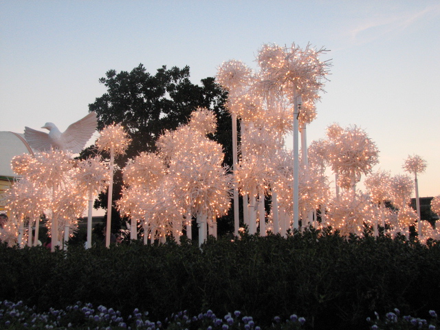 Florida's Winter Wonderland