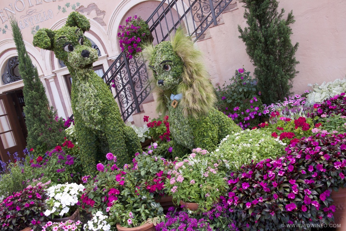 Flower-and-Garden-Festival-22
