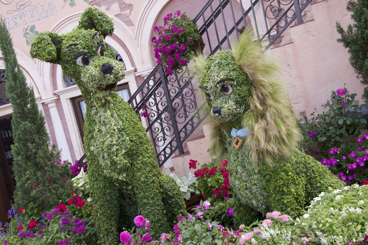 Flower-and-Garden-Festival-23