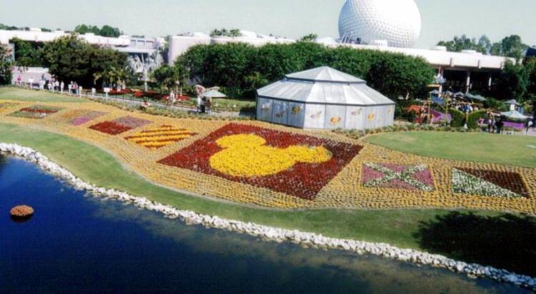 Flower & Garden 2008