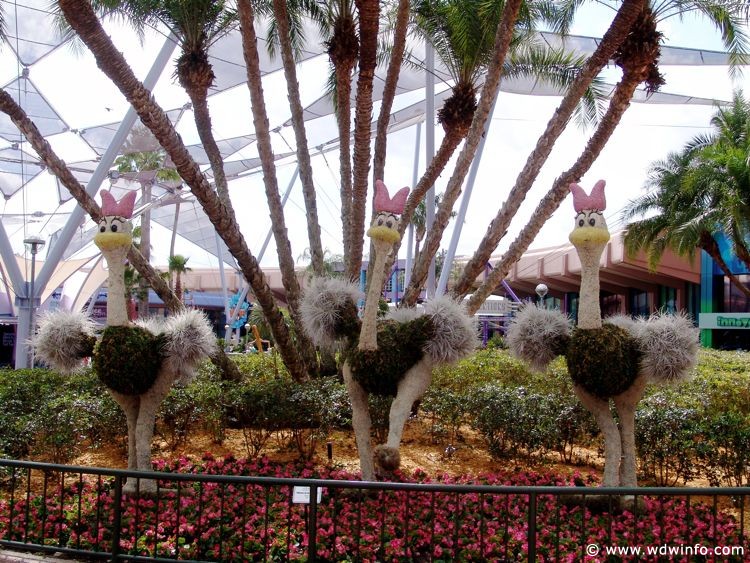 Flower-Garden-Festival-13