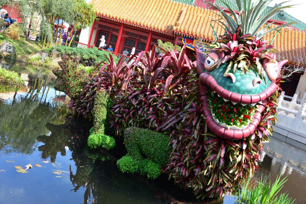 Flower-garden-festival-2016-105