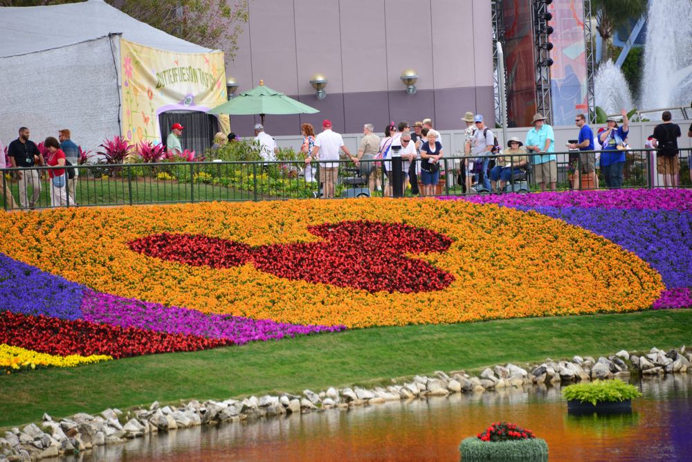 Flower-garden-festival-2016-134