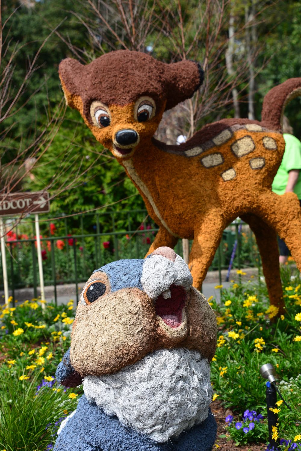 Flower-garden-festival-2016-30