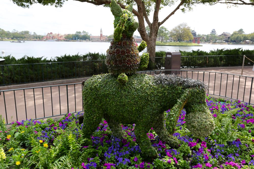 Flower-garden-festival-2016-35