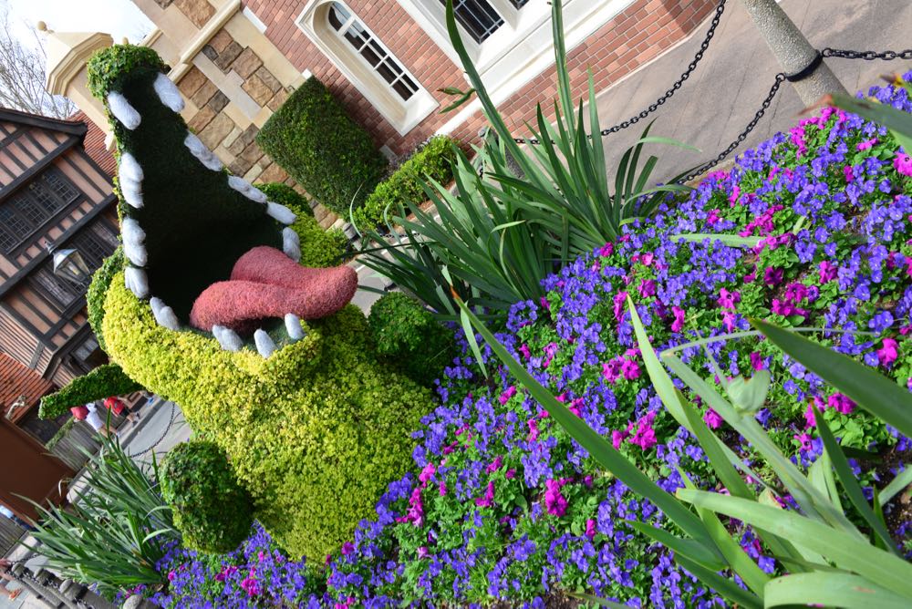 Flower-garden-festival-2016-45