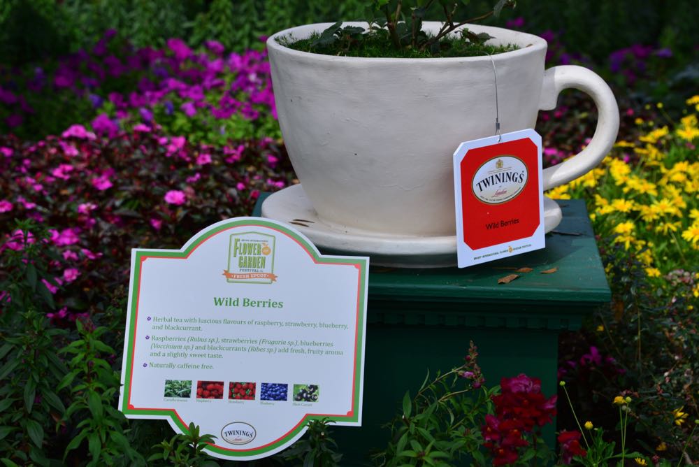 Flower-garden-festival-2016-47