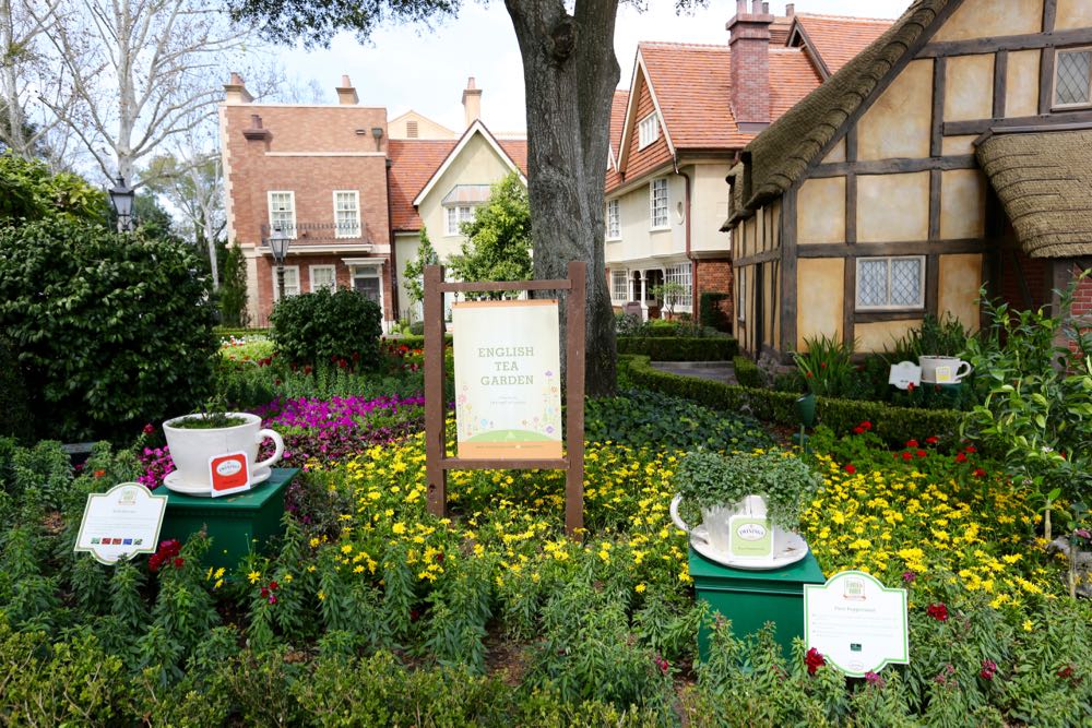 Flower-garden-festival-2016-48