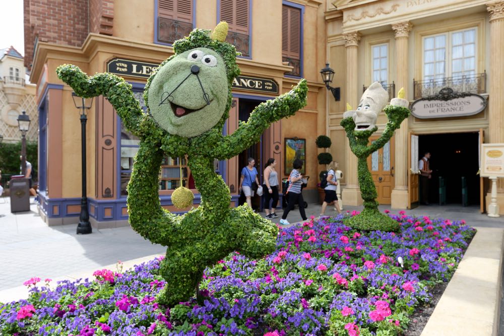 Flower-garden-festival-2016-53