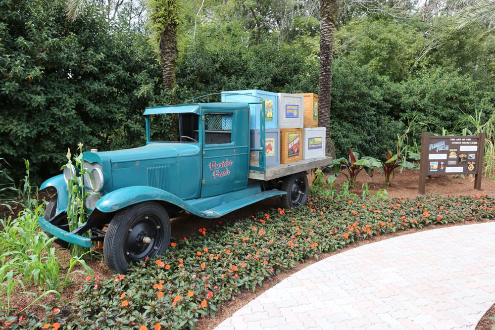 Flower-garden-festival-2016-63