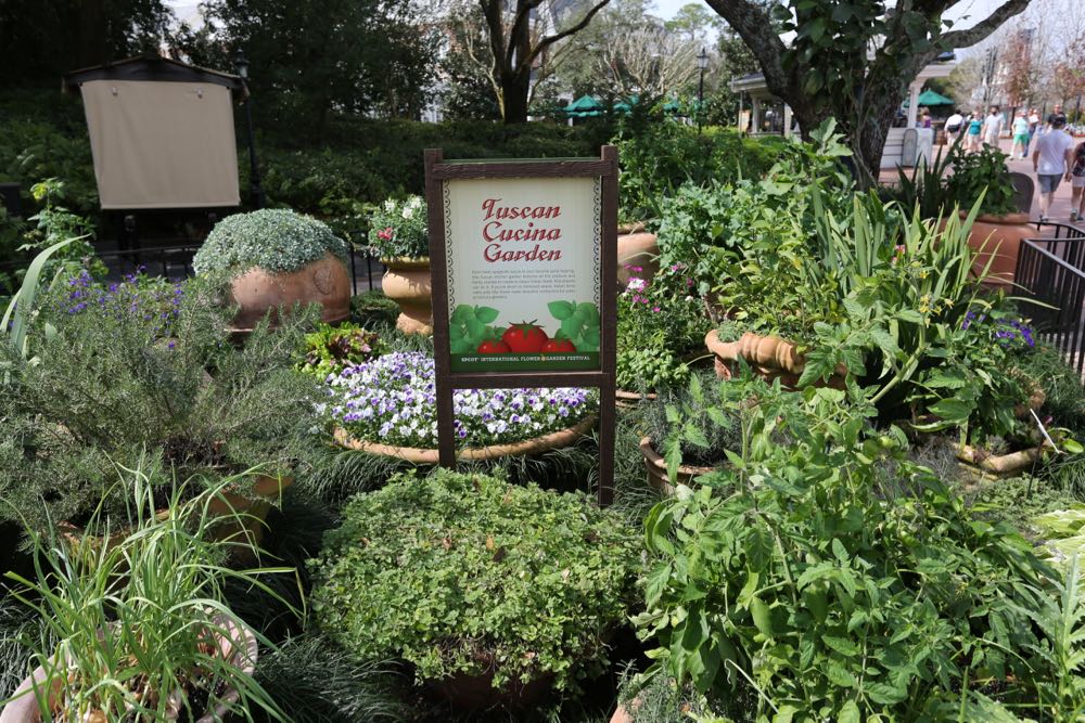 Flower-garden-festival-2016-83