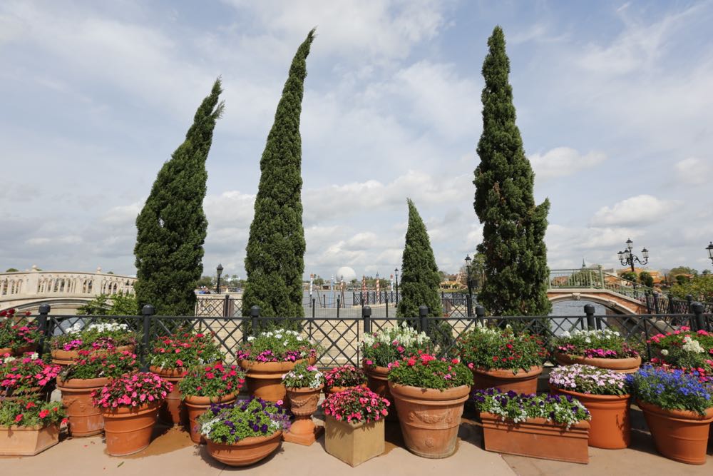 Flower-garden-festival-2016-85