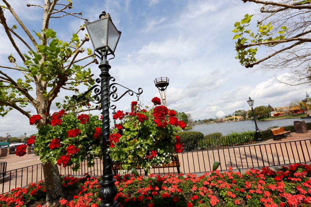 Flower-garden-festival-2016-95