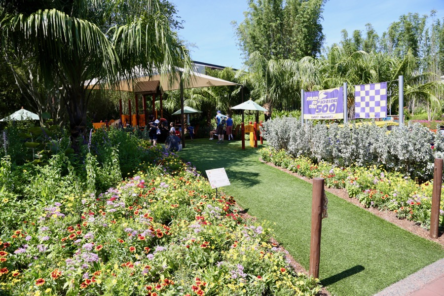 Flower-Garden-Festival-2017-019