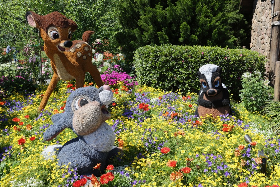 Flower-Garden-Festival-2017-023