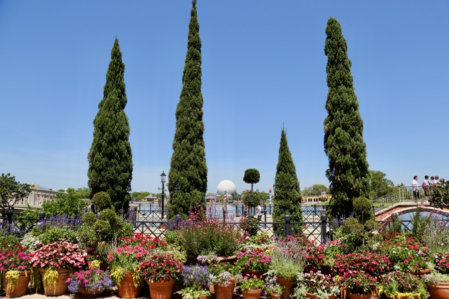 Flower-Garden-Festival-2017-050
