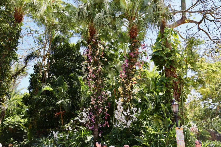 Flower-Garden-Festival-2017-075