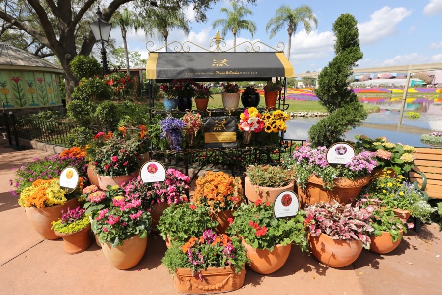 Flower-Garden-Festival-2018-018