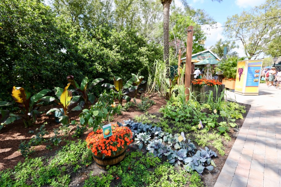 Flower-Garden-Festival-2018-050