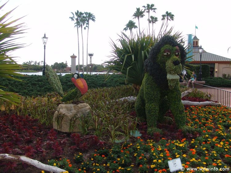 Flower-Garden-Festival-73