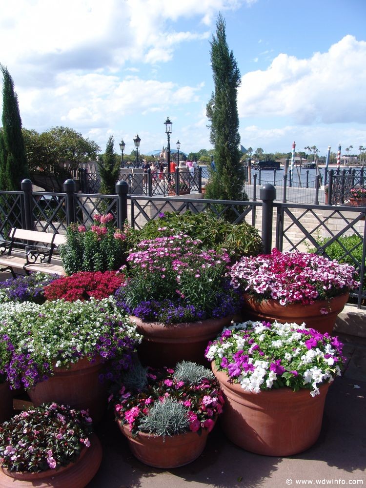 Flower-Garden-Festival-88