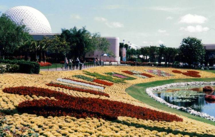 Flower & Garden