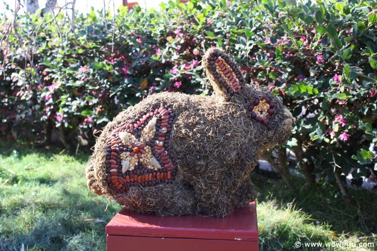 FlowerGarden2010_-_35