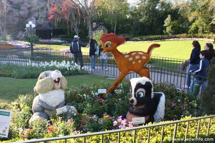 FlowerGarden2010_-_62
