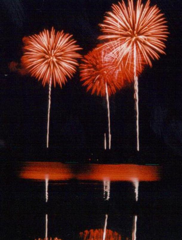 Flowers? or Fireworks?