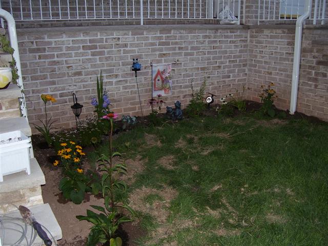 Flowers_001_Small_